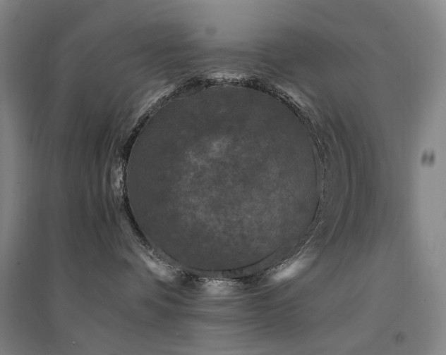 X0000094430336200711081231