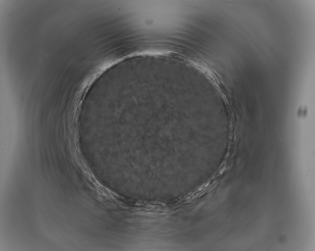 X0000094430337200711081231