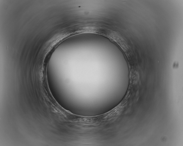 X0000094430338200711081231