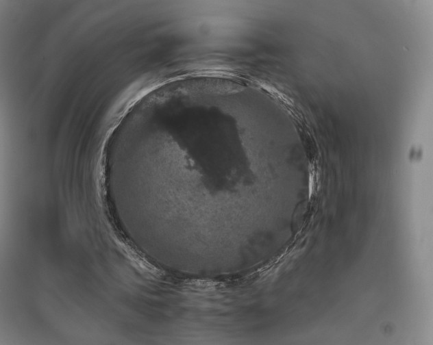 X0000094430339200711081231
