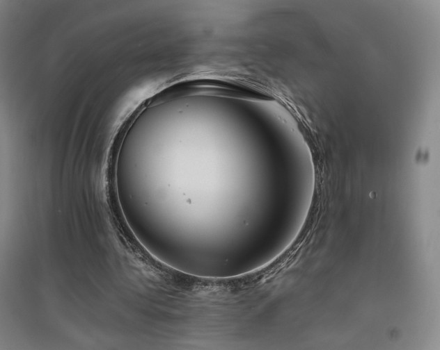 X0000094430340200711081231