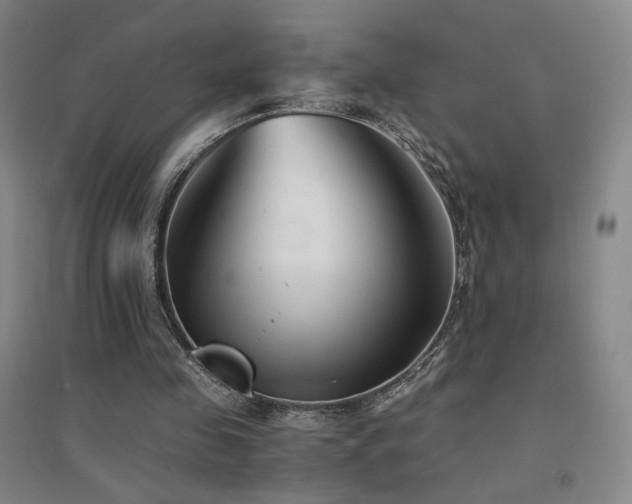 X0000094430341200711081231