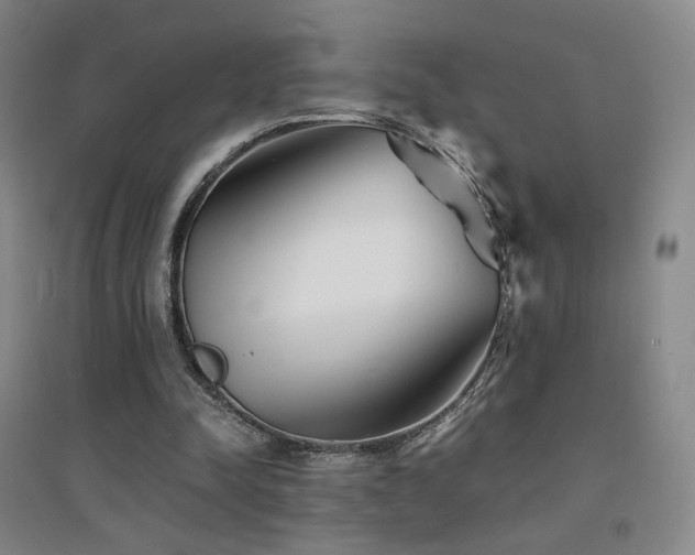 X0000094430342200711081231