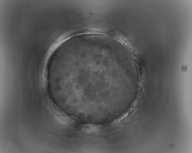X0000094430343200711081231