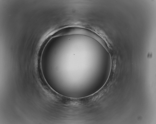 X0000094430344200711081231