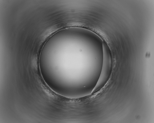 X0000094430345200711081231