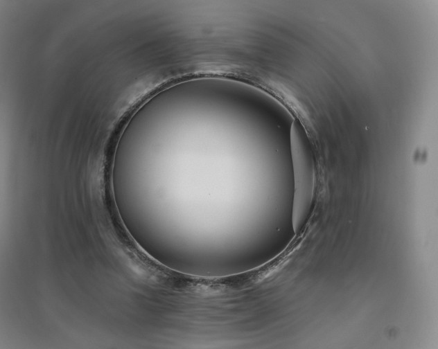 X0000094430346200711081231