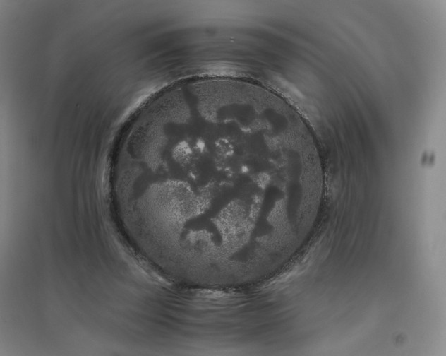 X0000094430347200711081231