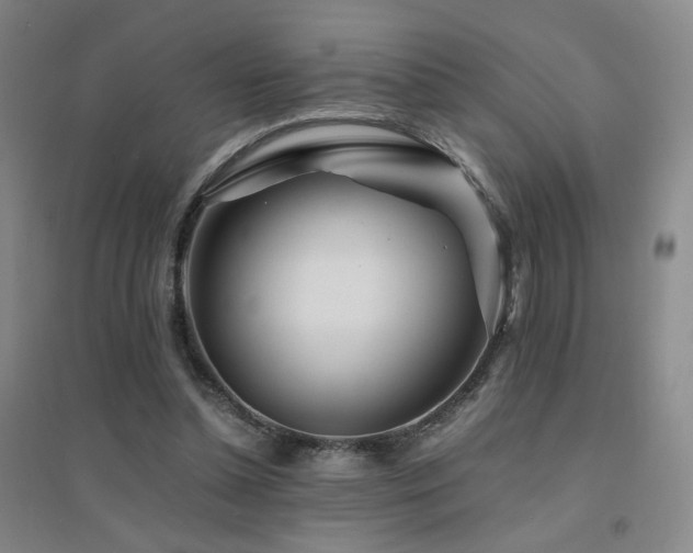 X0000094430348200711081231