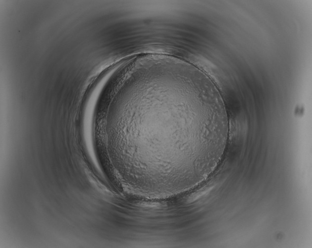 X0000094430349200711081231