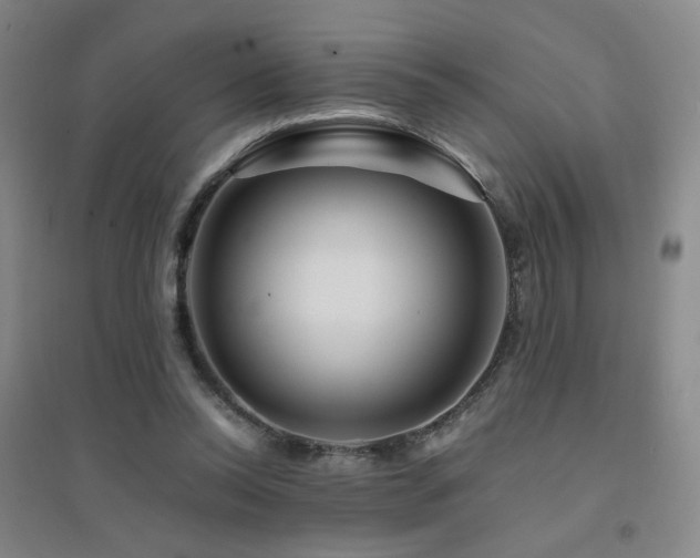 X0000094430350200711081231