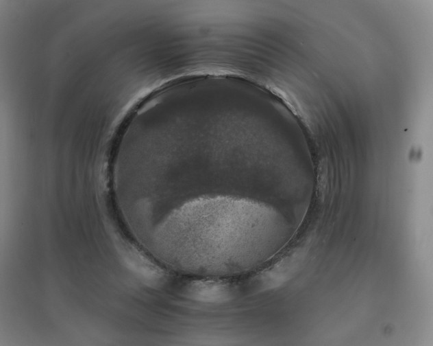 X0000094430351200711081231