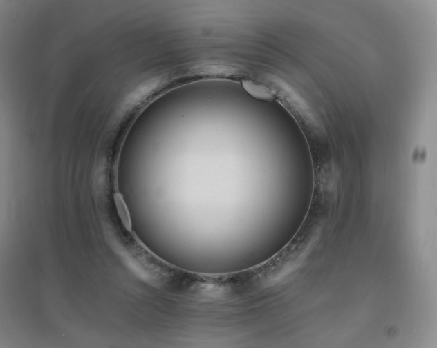 X0000094430352200711081231