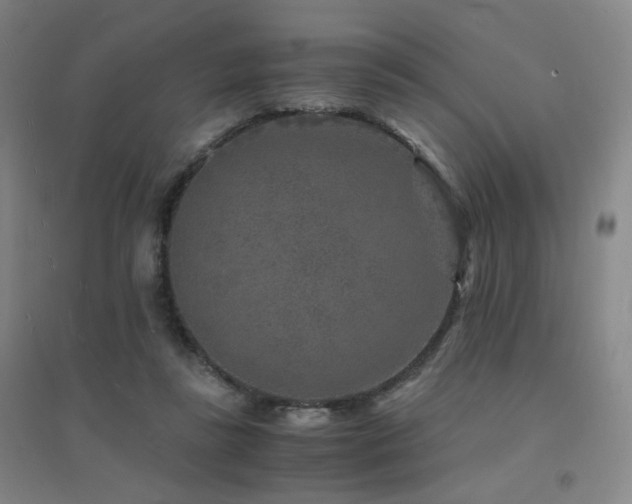 X0000094430355200711081231