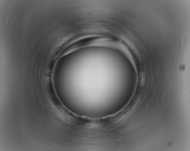 X0000094430356200711081231