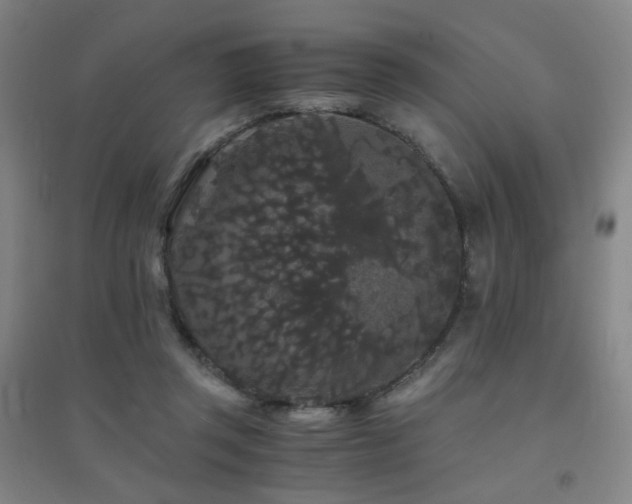 X0000094430357200711081231