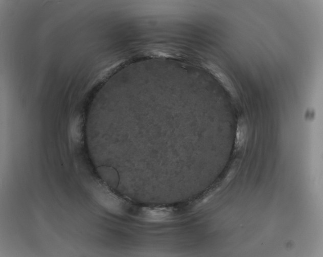 X0000094430359200711081231