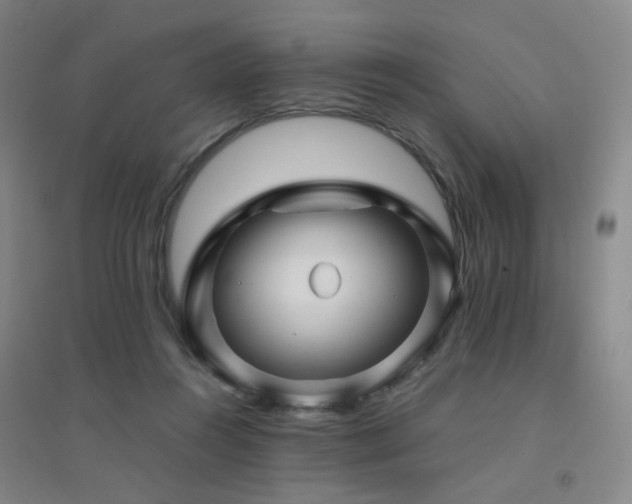 X0000094430360200711081231
