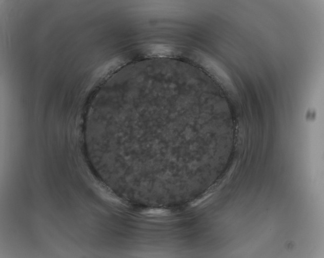 X0000094430361200711081231