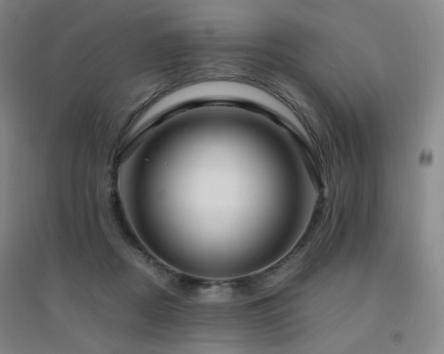 X0000094430362200711081231