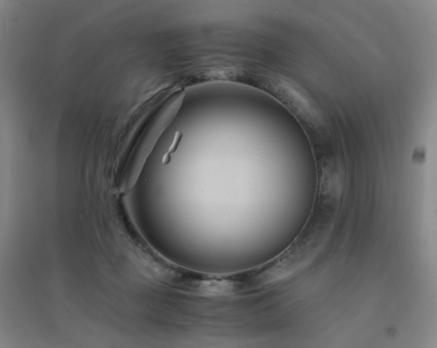 X0000094430363200711081231