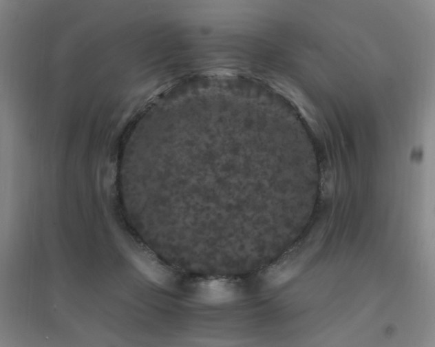 X0000094430365200711081231