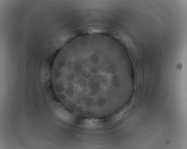 X0000094430367200711081231
