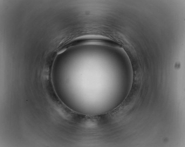 X0000094430368200711081231