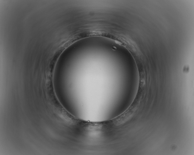 X0000094430369200711081231