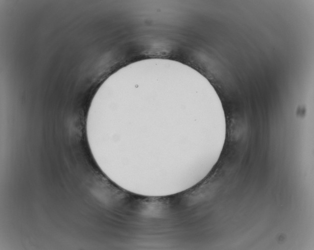 X0000094430370200711081231