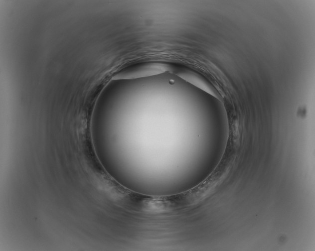 X0000094430372200711081231