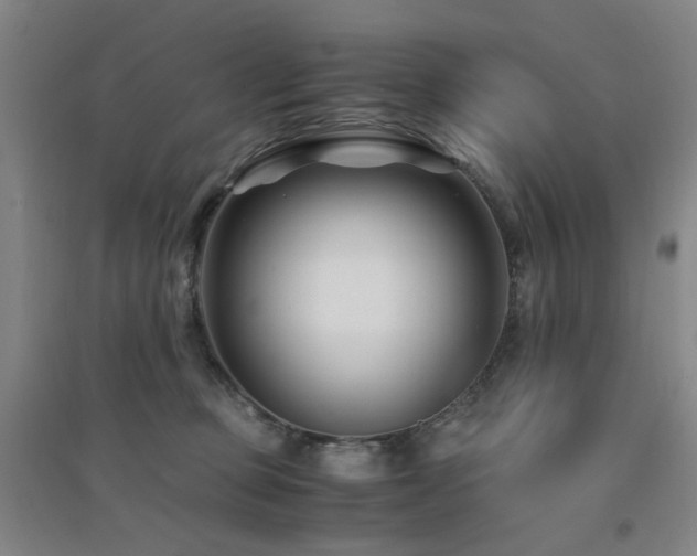 X0000094430373200711081231