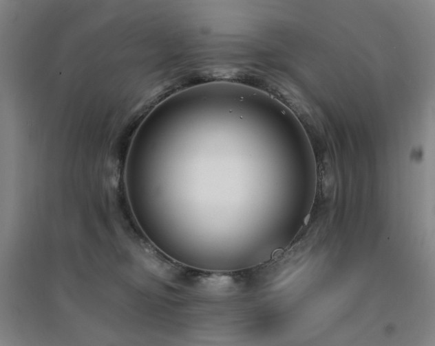 X0000094430374200711081231