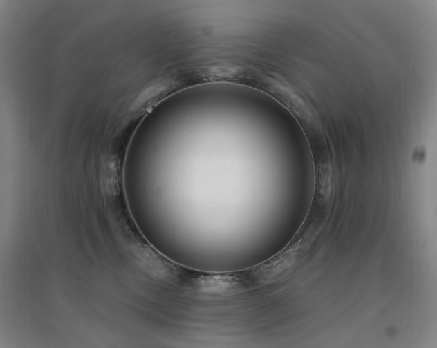 X0000094430378200711081231