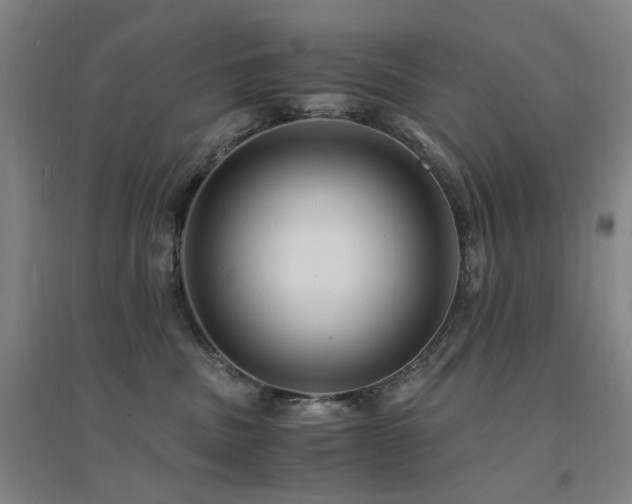 X0000094430379200711081231
