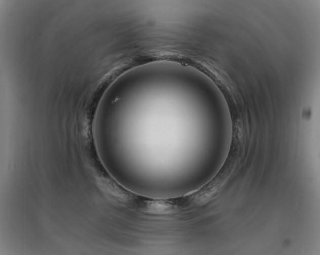 X0000094430380200711081231