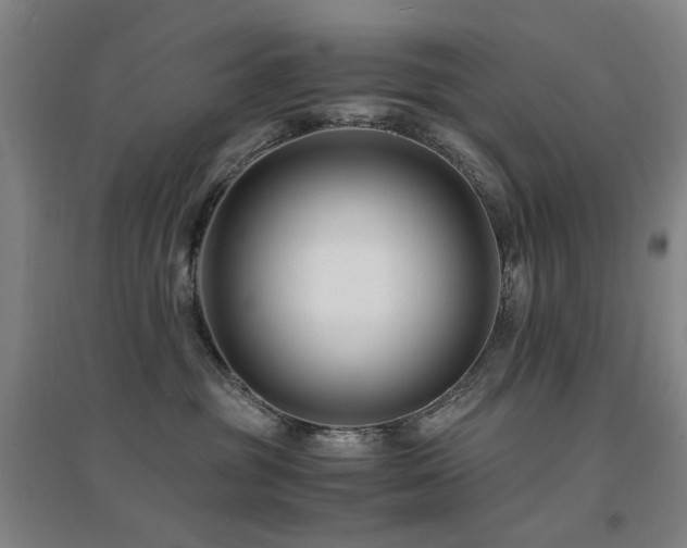 X0000094430381200711081231