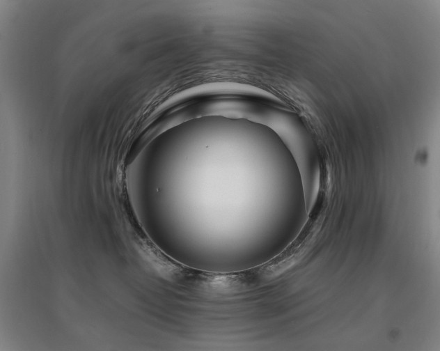 X0000094430382200711081231