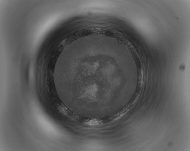 X0000094430383200711081231