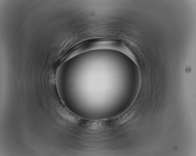 X0000094430384200711081231