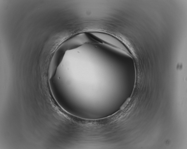 X0000094430385200711081231