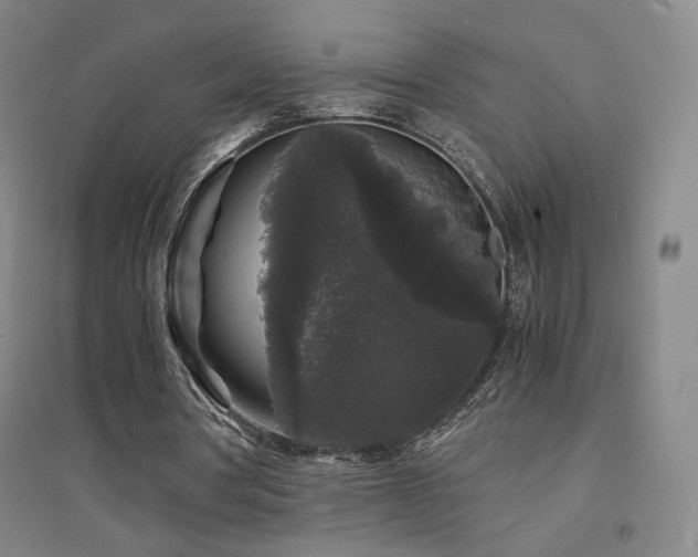 X0000094430386200711081231