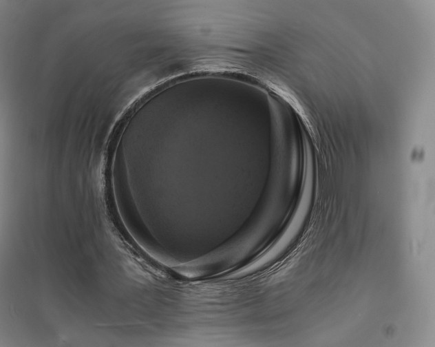 X0000094430387200711081231