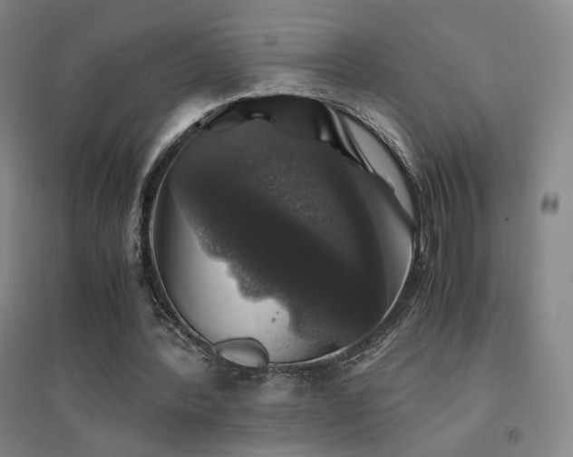 X0000094430388200711081231