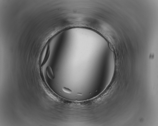 X0000094430389200711081231