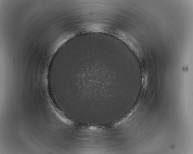 X0000094430390200711081231