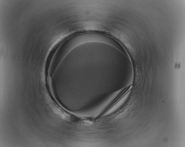 X0000094430391200711081231
