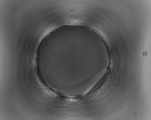 X0000094430392200711081231