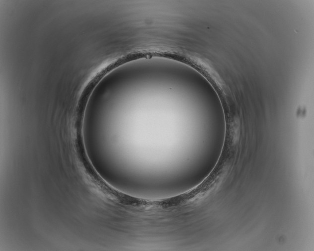 X0000094430395200711081230