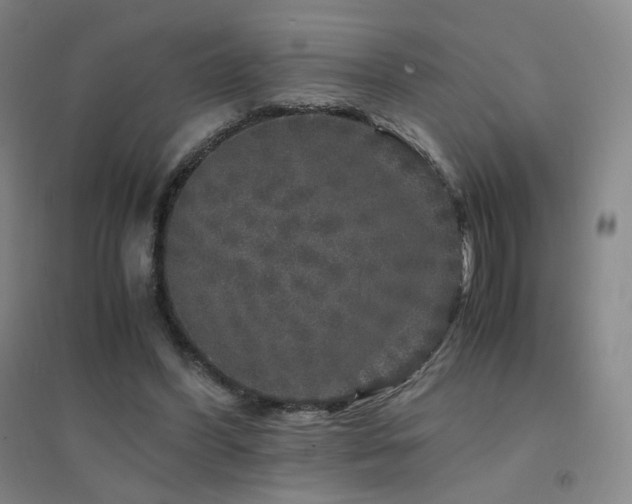 X0000094430396200711081230